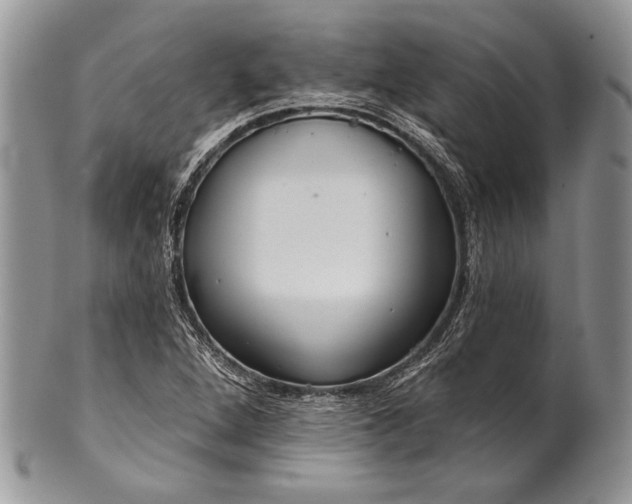 X0000100371264200806201619