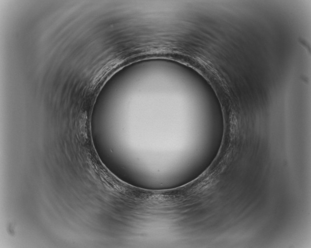 X0000100371265200806201619