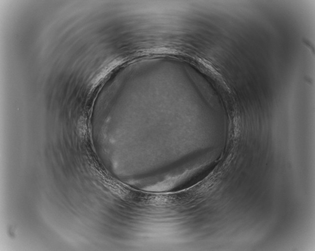 X0000100371266200806201619