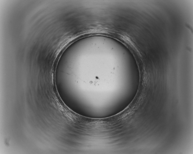 X0000100371268200806201619