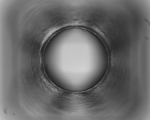 X0000100371270200806201619