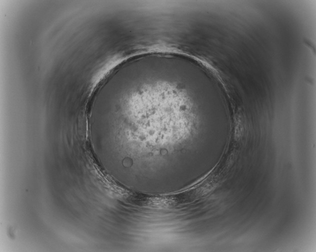 X0000100371271200806201619