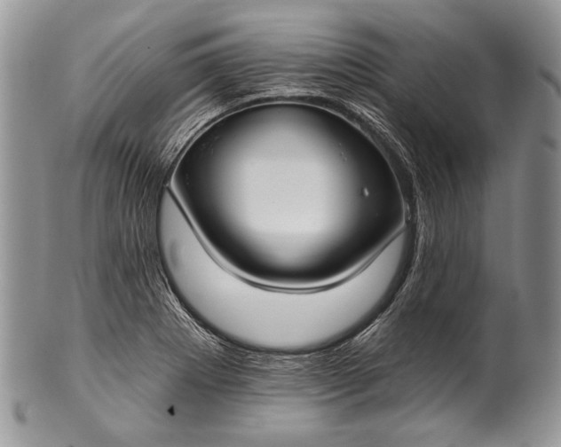 X0000100371273200806201619