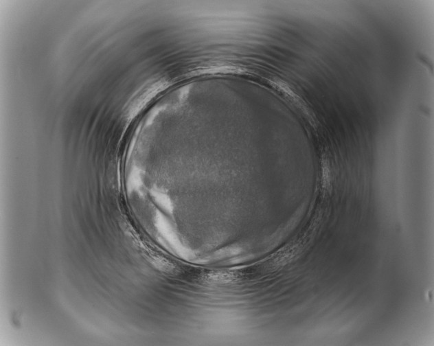 X0000100371274200806201619