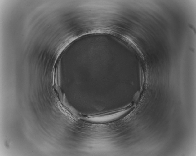 X0000100371276200806201619