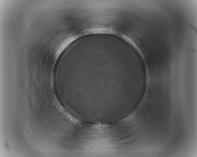 X0000100371277200806201619