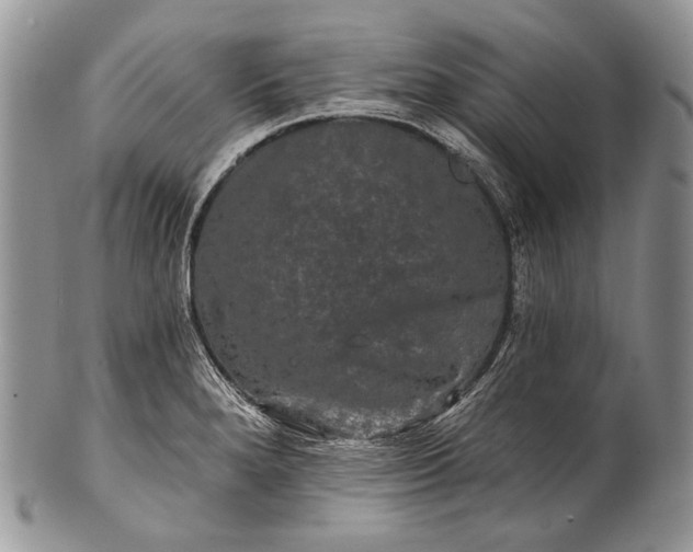 X0000100371280200806201619