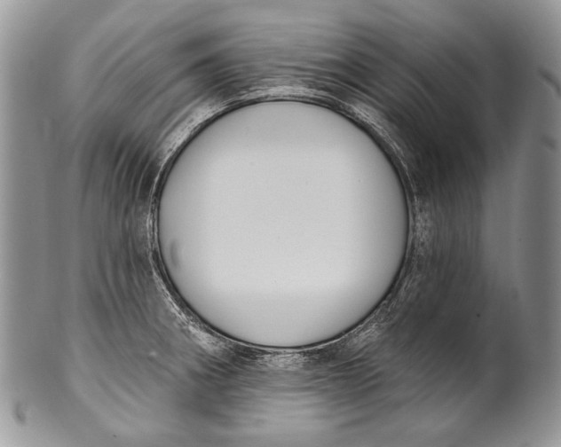 X0000100371282200806201619