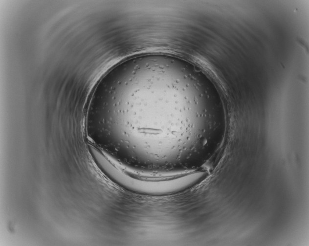 X0000100371284200806201619