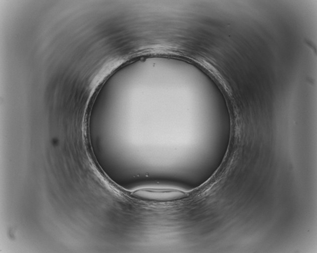 X0000100371285200806201619