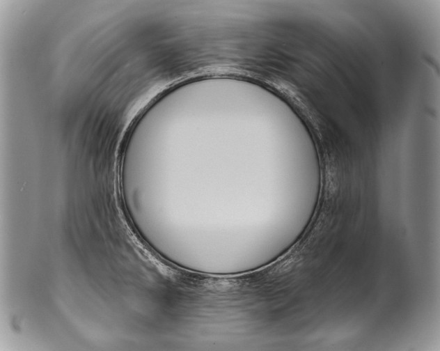 X0000100371286200806201619