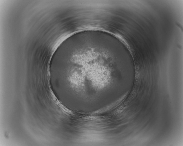 X0000100371287200806201619