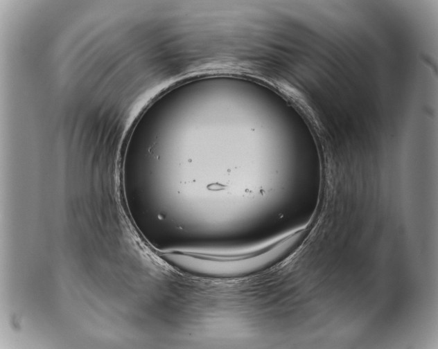 X0000100371288200806201619