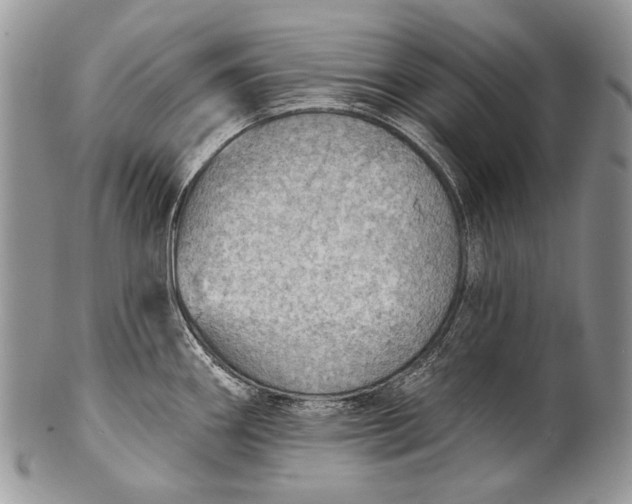 X0000100371290200806201619