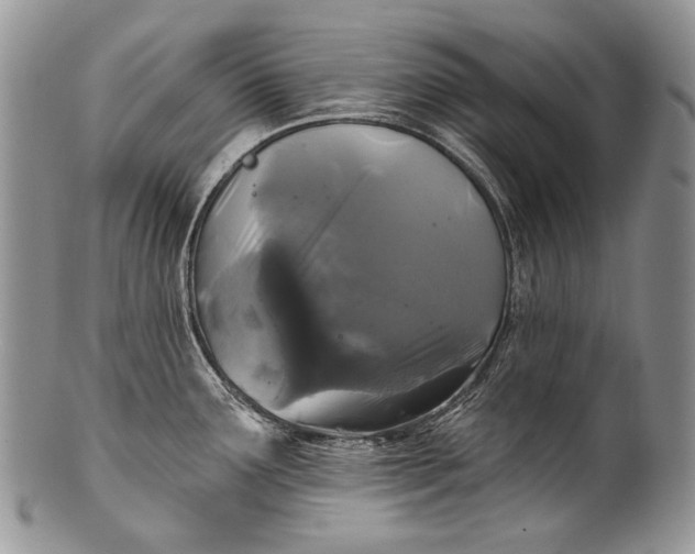 X0000100371291200806201619