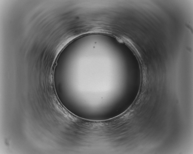 X0000100371292200806201619