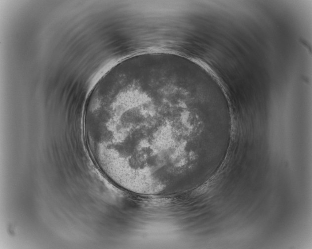 X0000100371294200806201619