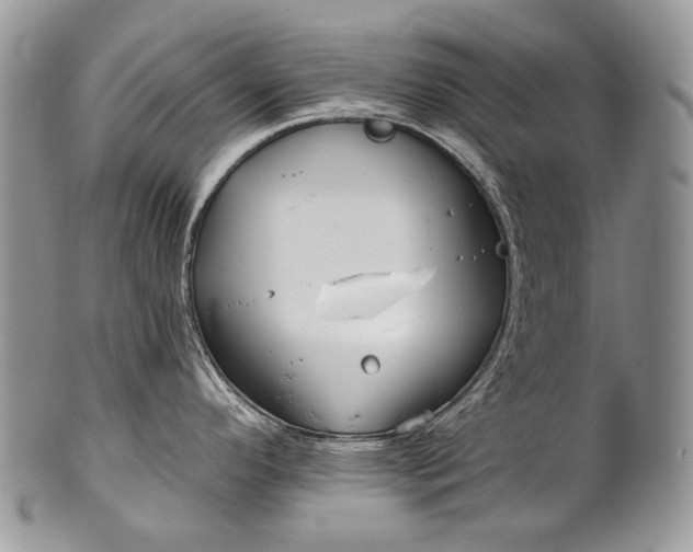 X0000100371296200806201619