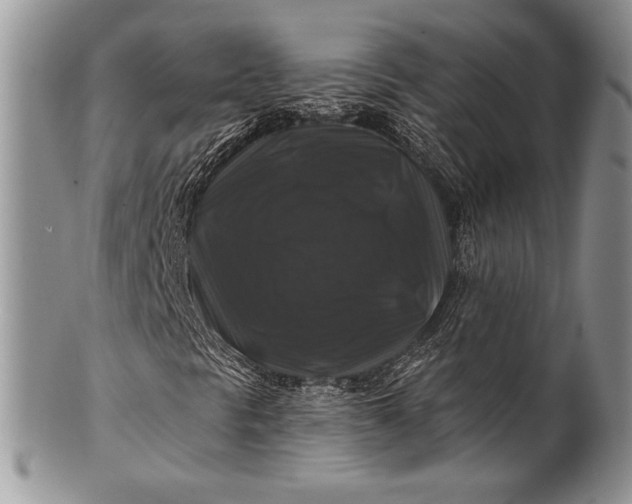 X0000100371297200806201618