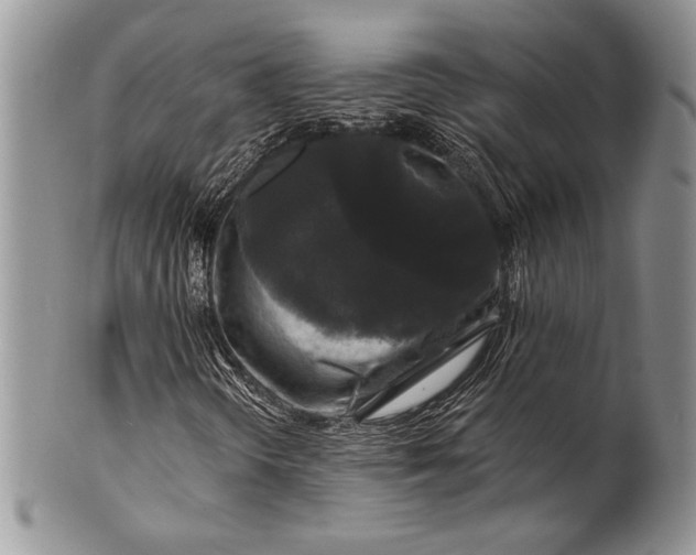 X0000100371298200806201618