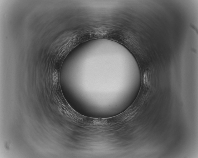 X0000100371299200806201618