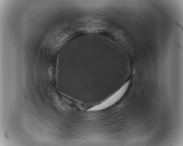 X0000100371300200806201618