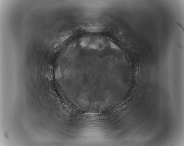 X0000100371301200806201618