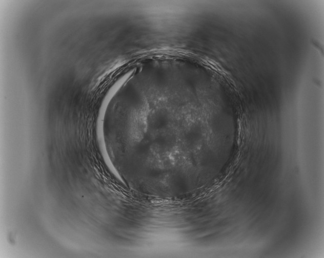 X0000100371302200806201618