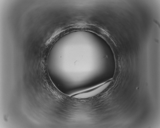 X0000100371304200806201618