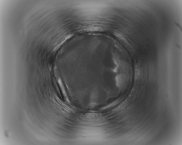 X0000100371305200806201618