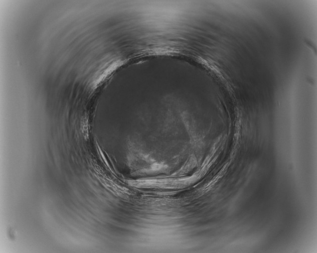 X0000100371306200806201618