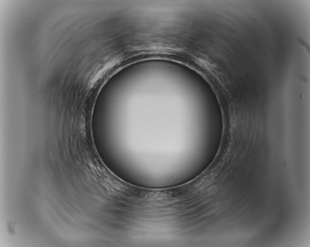 X0000100371307200806201618