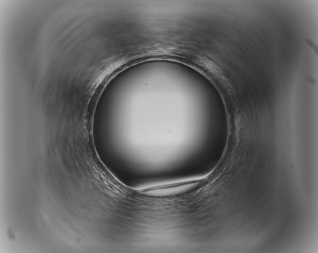 X0000100371308200806201618