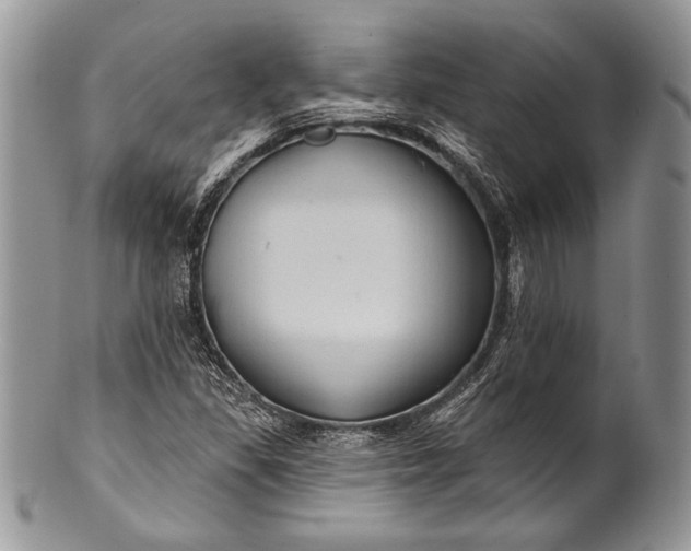 X0000100371309200806201618