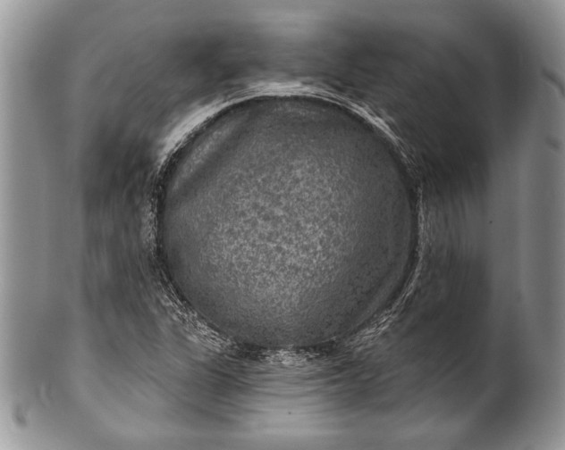 X0000100371311200806201618