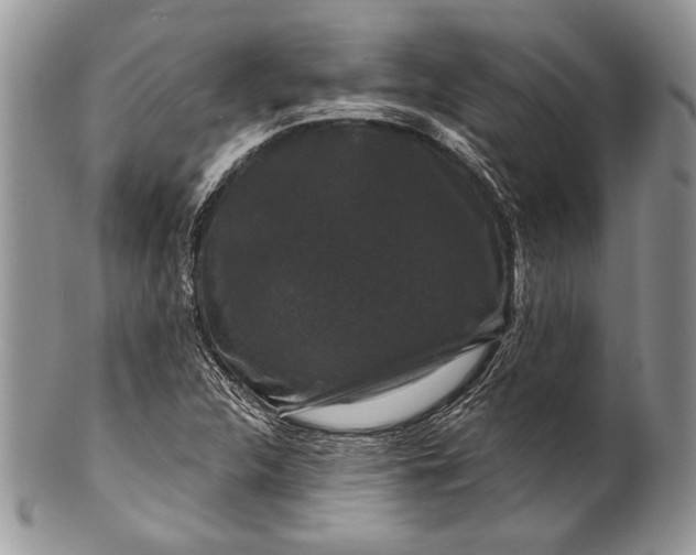 X0000100371312200806201618