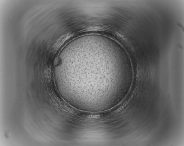 X0000100371313200806201618