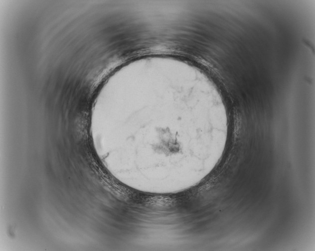 X0000100371314200806201618