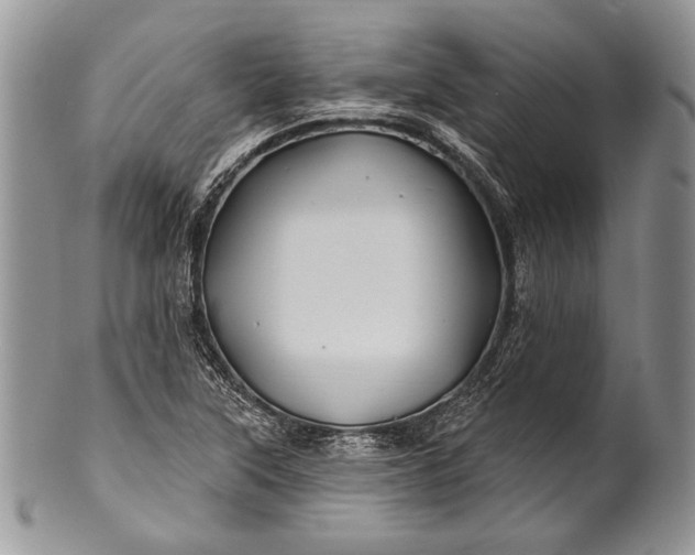 X0000100371315200806201618