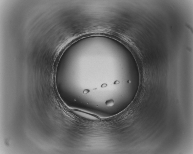 X0000100371316200806201618