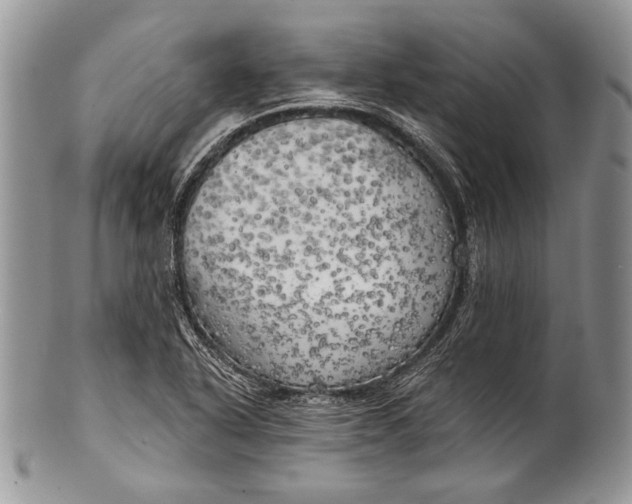 X0000100371318200806201618