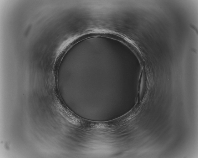 X0000100371319200806201618