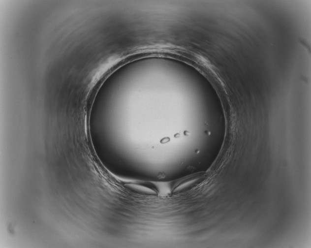 X0000100371320200806201618