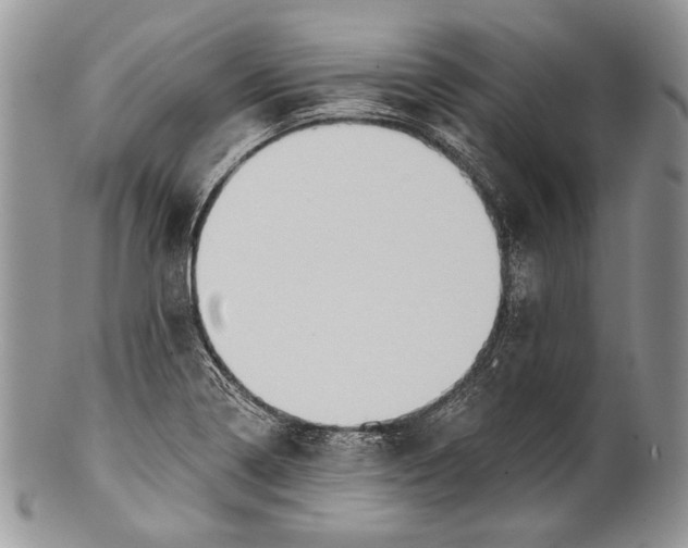 X0000100371322200806201618