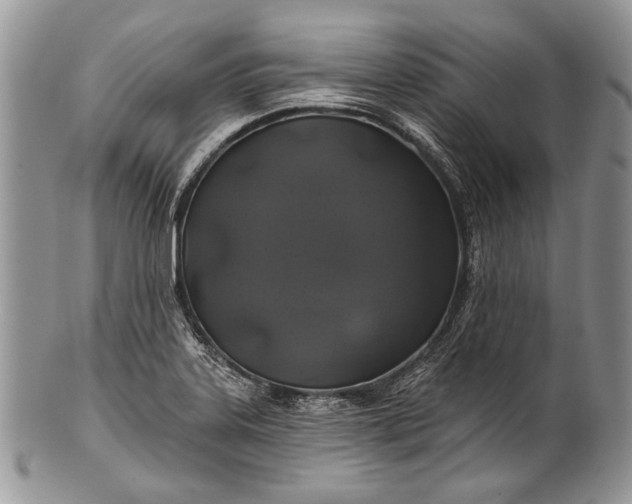 X0000100371323200806201618