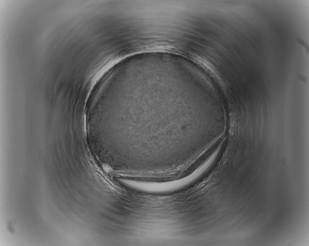 X0000100371324200806201618