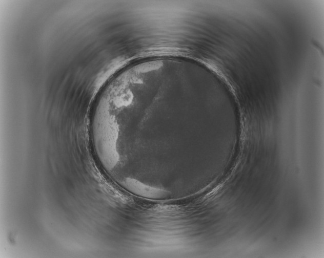 X0000100371325200806201618