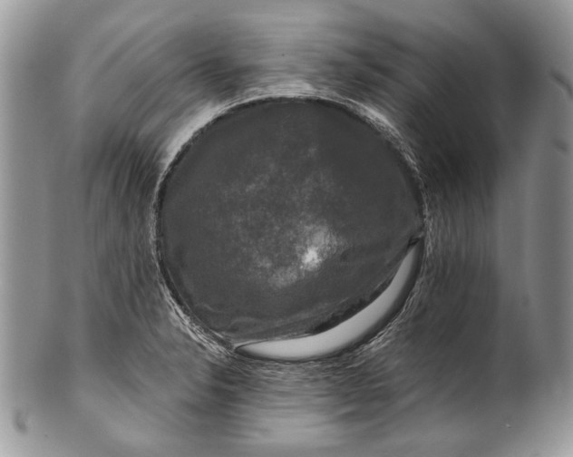 X0000100371326200806201618