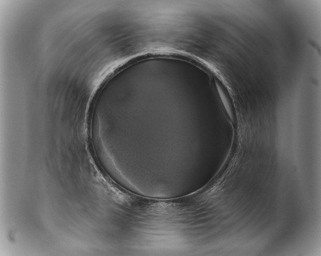 X0000100371327200806201618