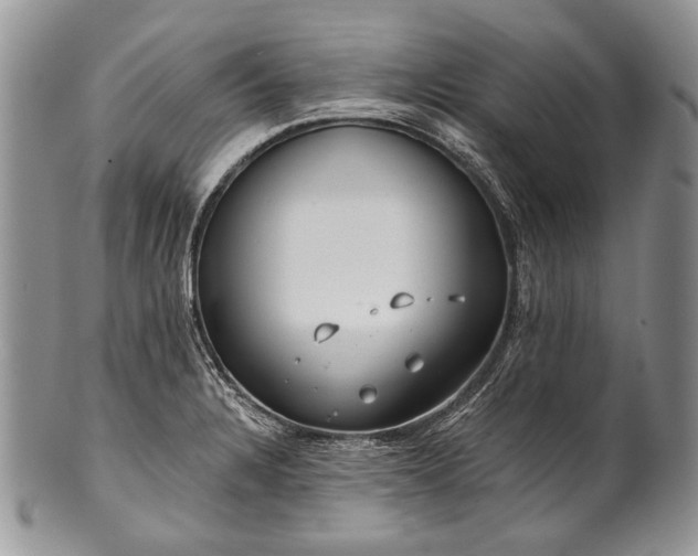 X0000100371328200806201618